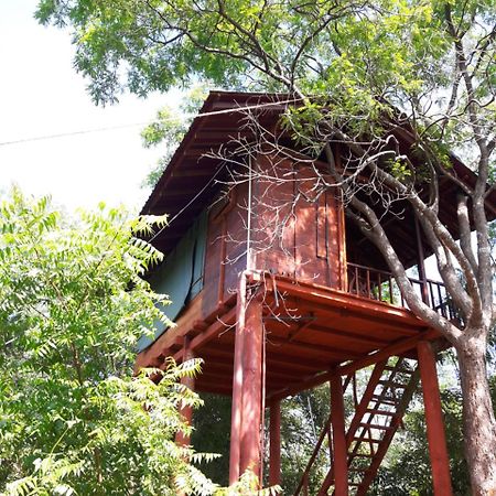 Villa Dambulla Tree House Extérieur photo