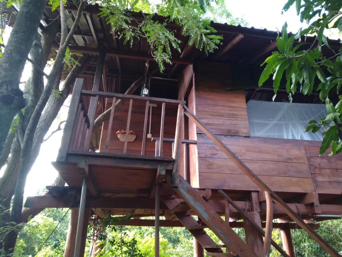 Villa Dambulla Tree House Extérieur photo