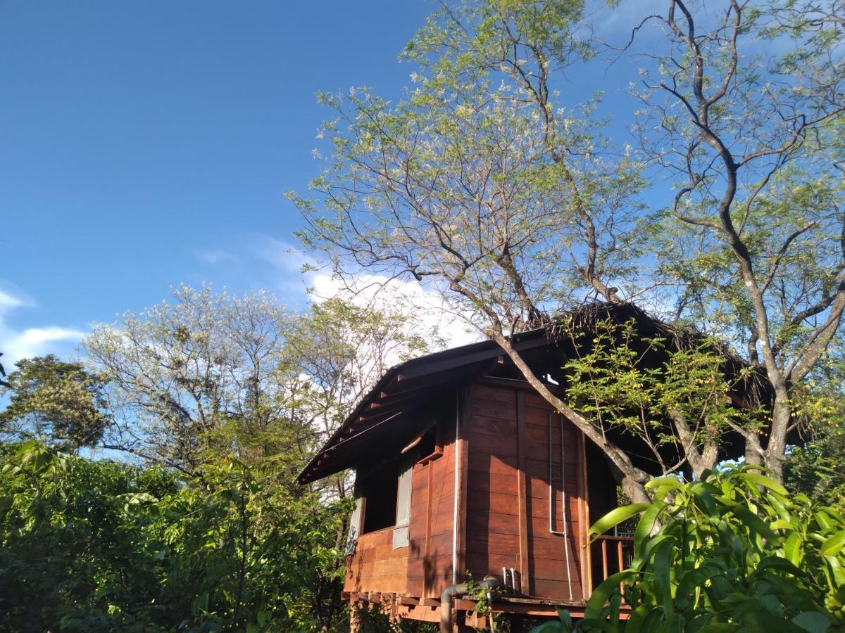 Villa Dambulla Tree House Extérieur photo