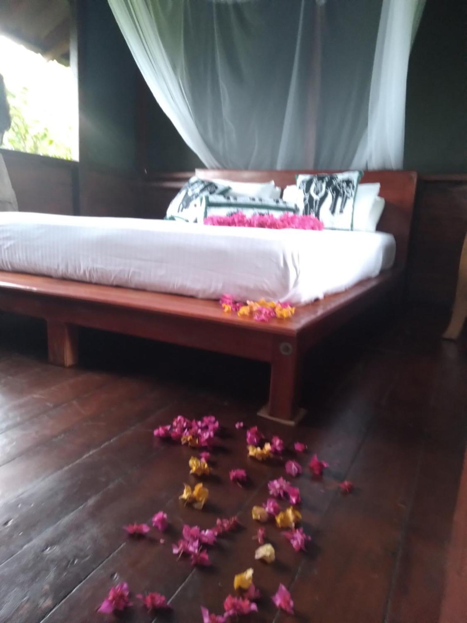 Villa Dambulla Tree House Extérieur photo