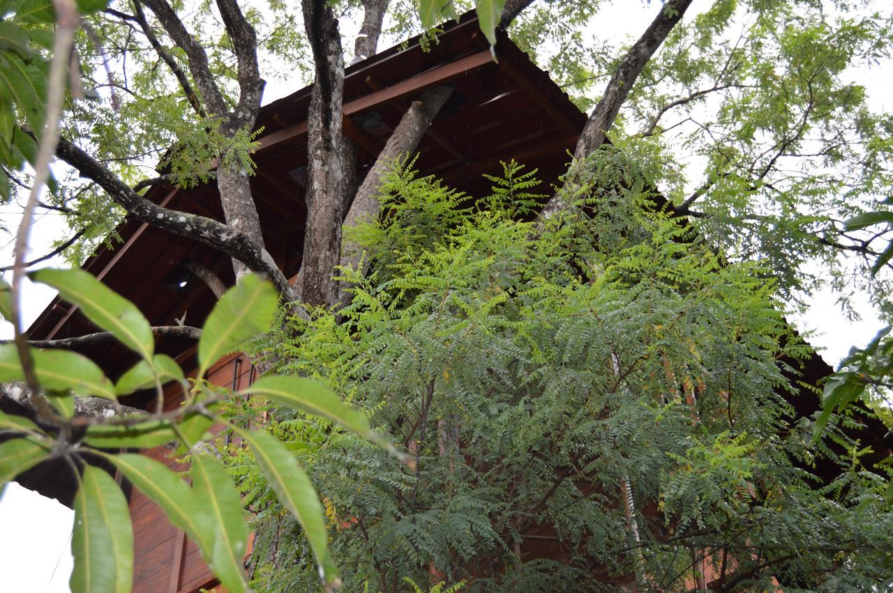 Villa Dambulla Tree House Extérieur photo