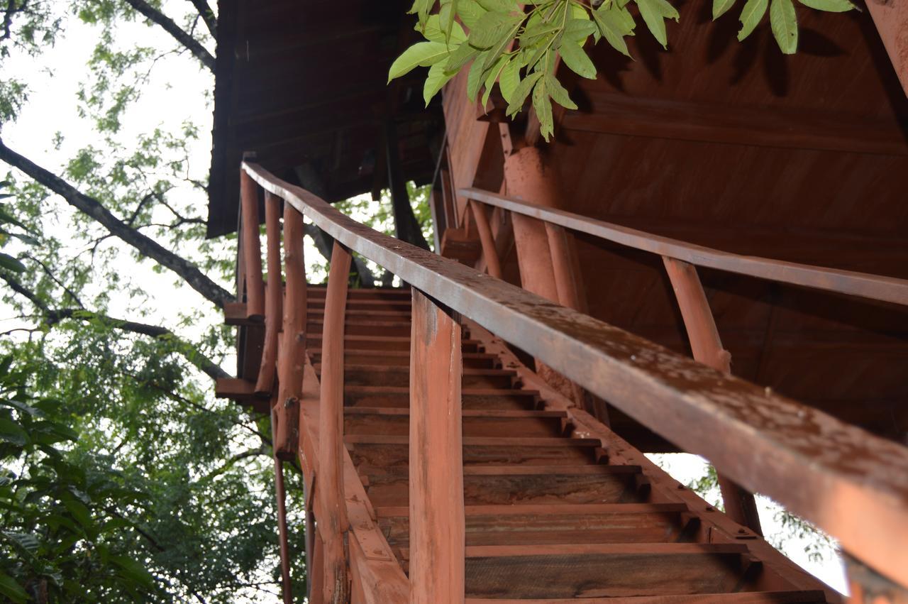 Villa Dambulla Tree House Extérieur photo