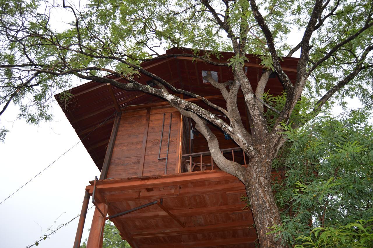 Villa Dambulla Tree House Extérieur photo