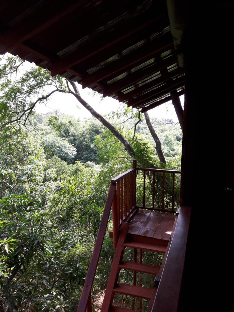 Villa Dambulla Tree House Extérieur photo