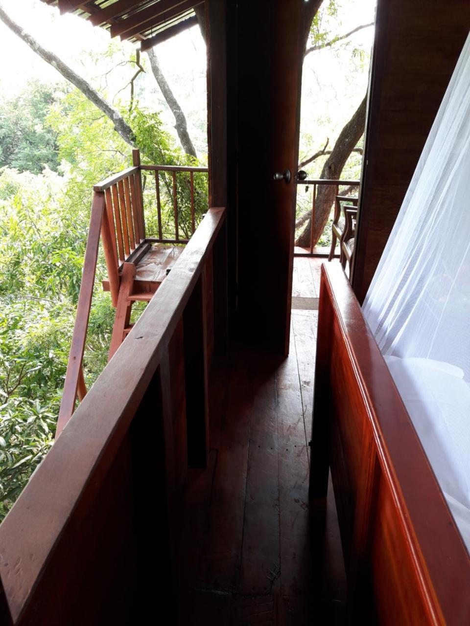Villa Dambulla Tree House Extérieur photo