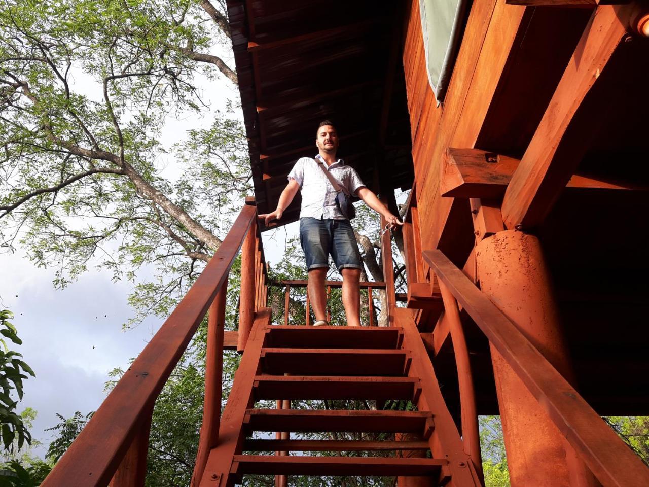 Villa Dambulla Tree House Extérieur photo