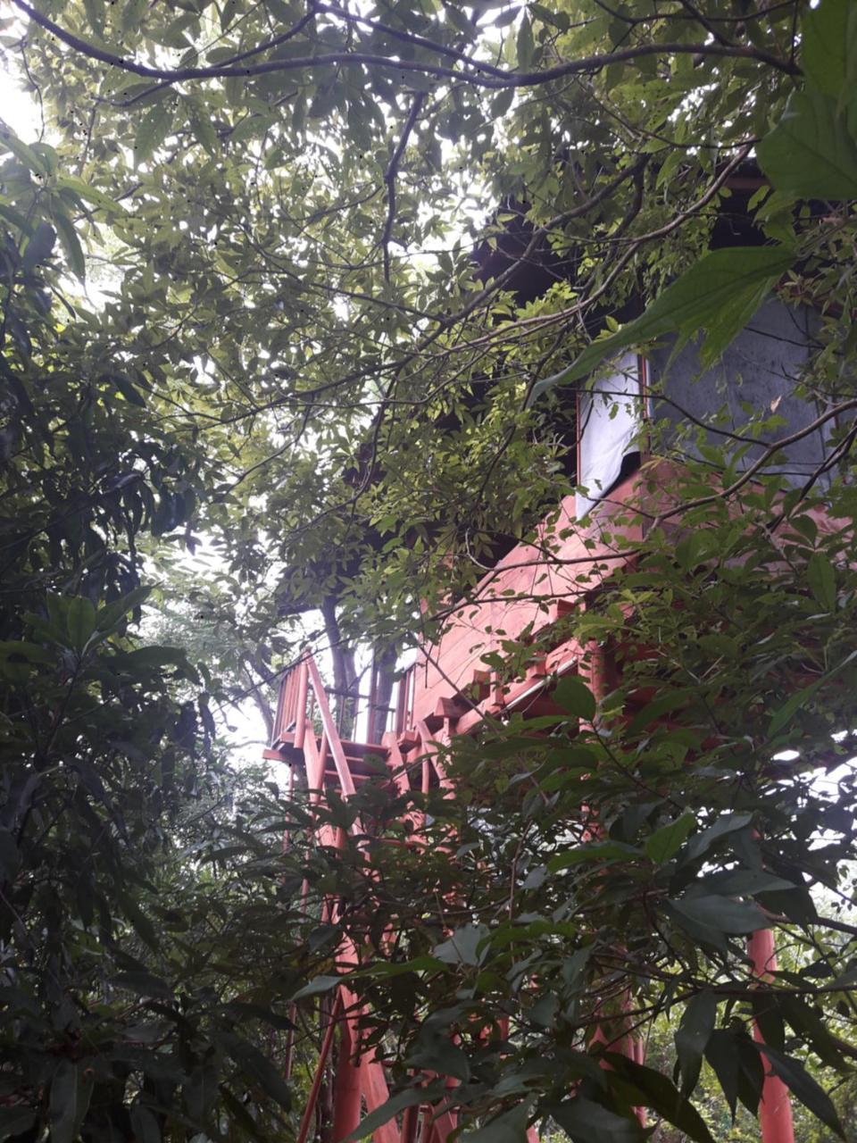 Villa Dambulla Tree House Extérieur photo