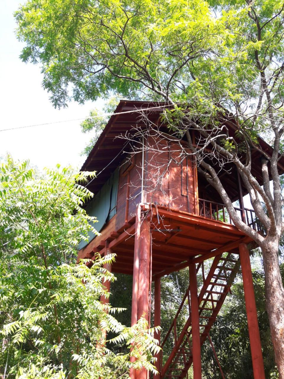 Villa Dambulla Tree House Extérieur photo