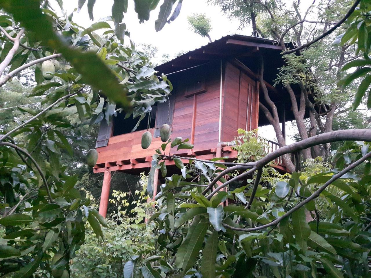 Villa Dambulla Tree House Extérieur photo