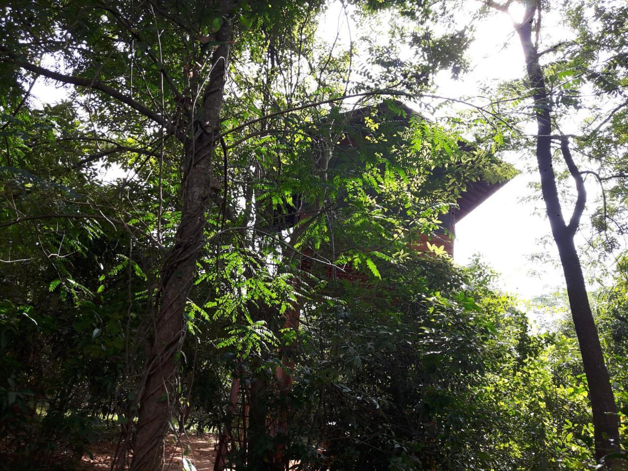 Villa Dambulla Tree House Extérieur photo